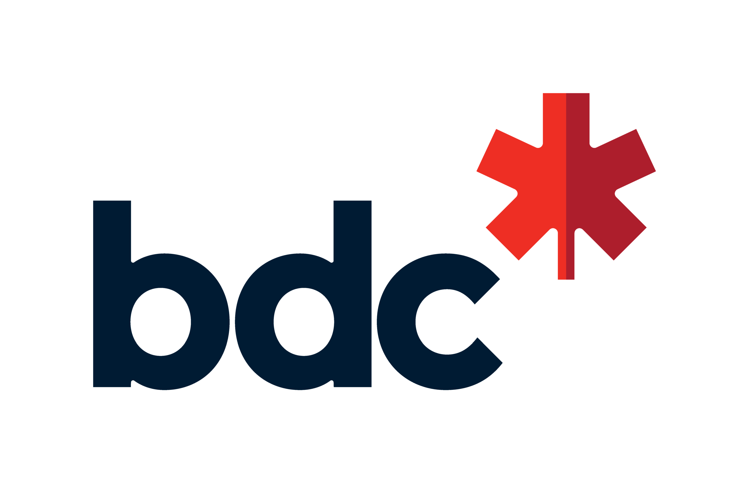 bdc_logo_cmyk - vector print